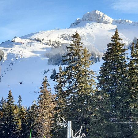 Superbe Appartement T2 3 Etoiles 40M2 Pied Des Pistes Vue Sur Le Lac Thollon-les-Memises エクステリア 写真