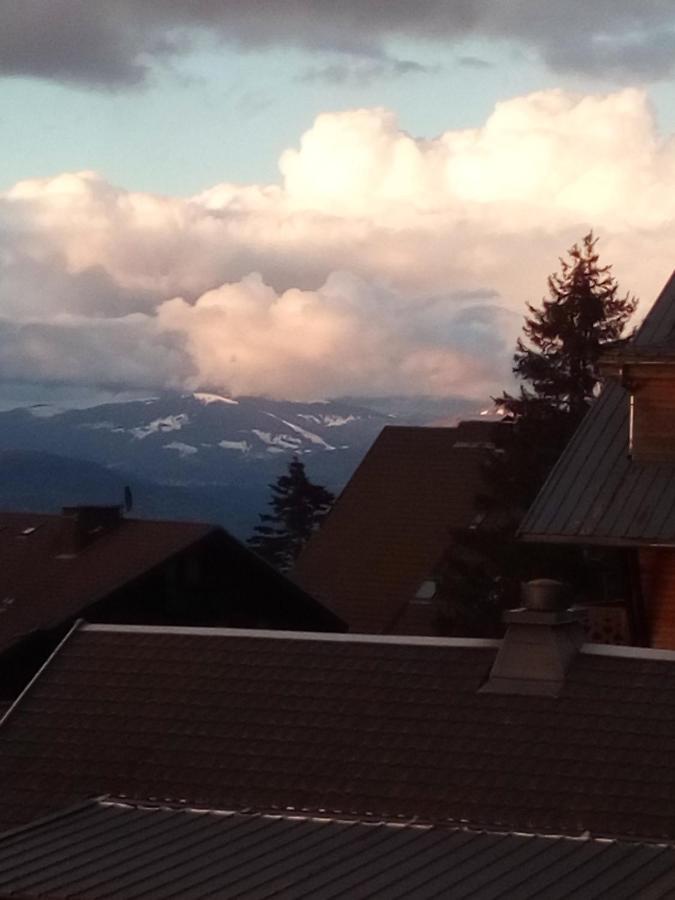 Superbe Appartement T2 3 Etoiles 40M2 Pied Des Pistes Vue Sur Le Lac Thollon-les-Memises エクステリア 写真
