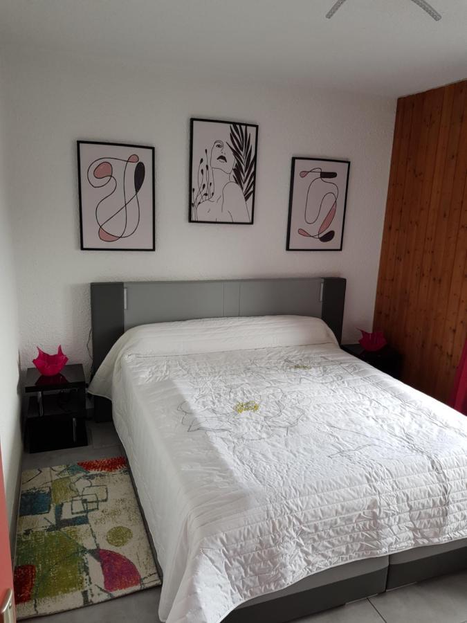 Superbe Appartement T2 3 Etoiles 40M2 Pied Des Pistes Vue Sur Le Lac Thollon-les-Memises エクステリア 写真