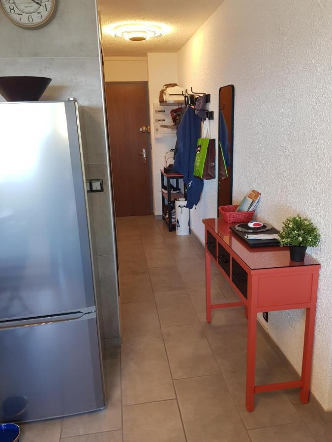 Superbe Appartement T2 3 Etoiles 40M2 Pied Des Pistes Vue Sur Le Lac Thollon-les-Memises エクステリア 写真