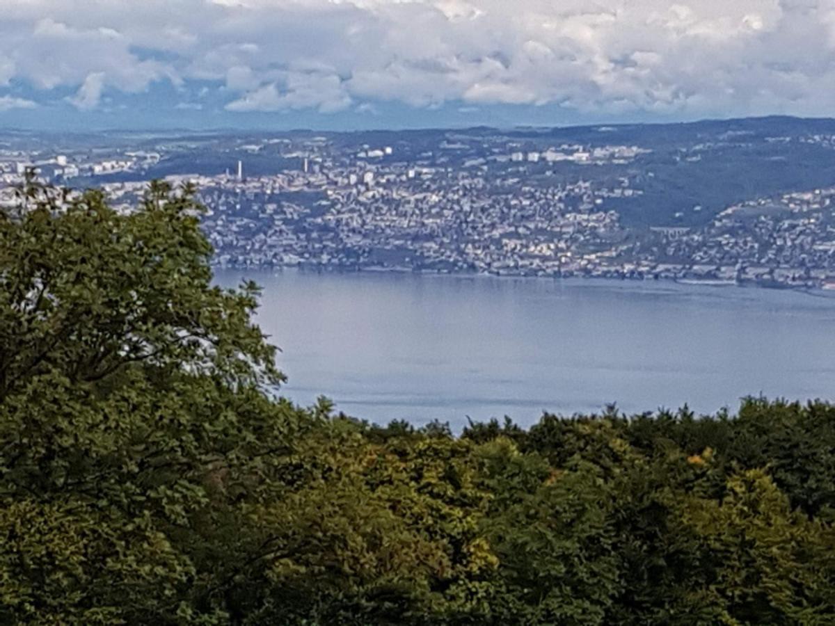 Superbe Appartement T2 3 Etoiles 40M2 Pied Des Pistes Vue Sur Le Lac Thollon-les-Memises エクステリア 写真